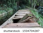 obstructed walking path into the forest