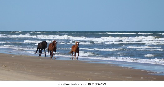 OBX Outer Banks Beach Scenes 