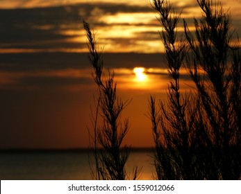 OBX Outer Banks Currituck Sound