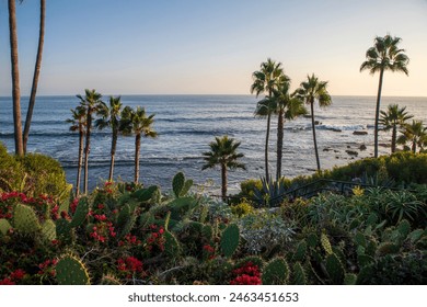 OC California, sunset, coastal, beauty, Pacific Ocean, beach, coastline, vibrant, colors, horizon, golden hour, ocean waves, breathtaking, scenic, coastline, palm trees, coastal cliffs, picturesque - Powered by Shutterstock