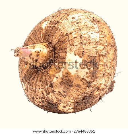 Oca Root Tuber Vegetable Isolated on White Background for Premium South American Food Object