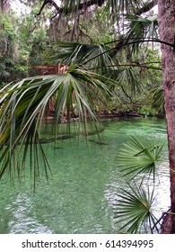 Ocala National Forest