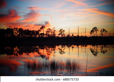 Ocala National Forest Sunset