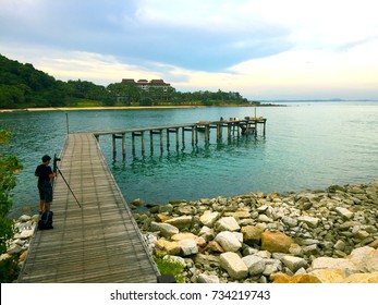 To the Ocean