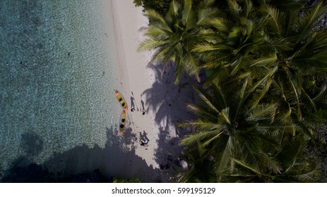 Ocean, Beach and Coconut Tree - Shutterstock ID 599195129