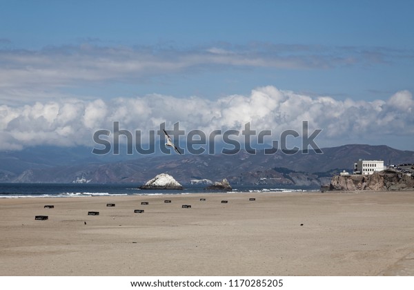 Ocean Beach San Francisco Public Fire Stock Photo Edit Now