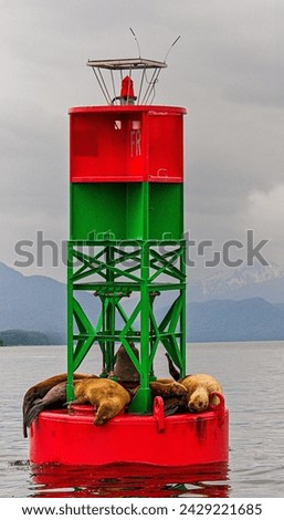 An ocean buoy at sea in Alaska with seals resting upon it.