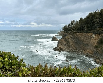 Ocean cliffs with waves and trees