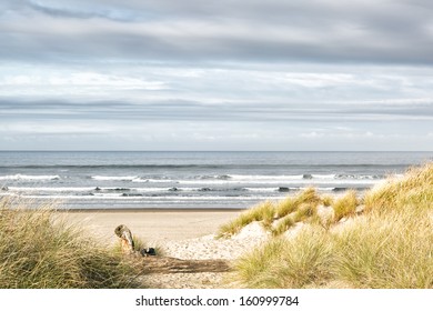 Ocean, Grassy Dunes And Sandy Beach On A Gray Day. Beautiful Muted Colors. Copy Space.