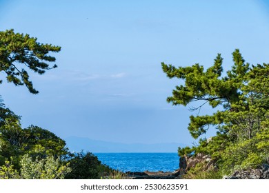 Ocean Horizon Framed by Coastal Pine Trees - Powered by Shutterstock