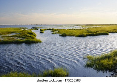 Ocean Inlet With Marsh Grass