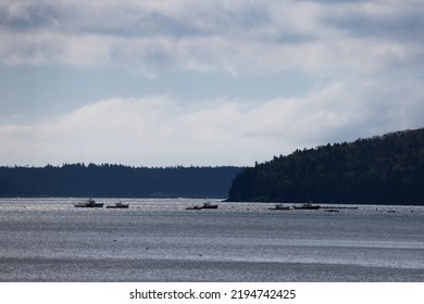 Ocean Islands Near Bar Harbour