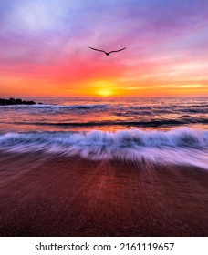 Ocean Landscape Sunset Is A Single Bird Flying Towards A Colorful Romantic Sky In Vertical Image Format