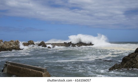 Ocean Mist