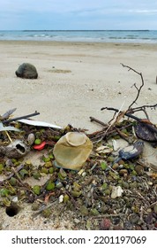 Ocean Pollution And Marine Debris

