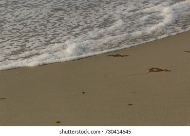 Ocean sand and bubbles of passing waves, foam of the waves, Pacific Ocean, California