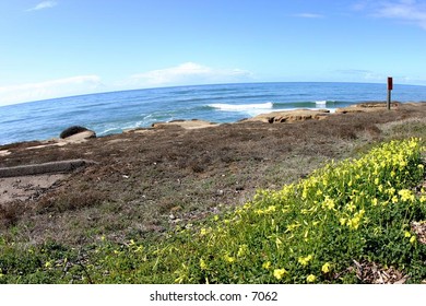ocean scene framed by rocks and flowers