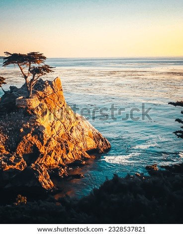 Ocean Scene with Tree on Cliff