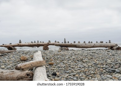 Ocean Shores In Washington State