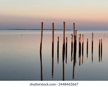 Ocean Sunrise Pelican Dock Posts Blue Sky View Florida - Powered by Shutterstock