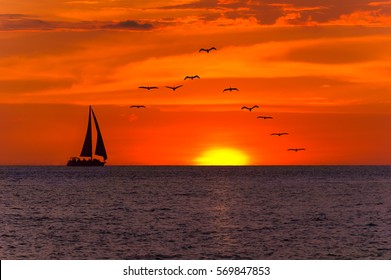 Ocean Sunset Sailboat Silhouette Is A Boat Sailing Along The Water At Sunset With A Flock Of Birds Flying Overhead.