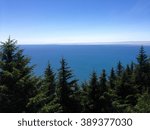 Ocean through Trees