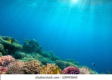Ocean Underwater Background Image - Shutterstock ID 109993043