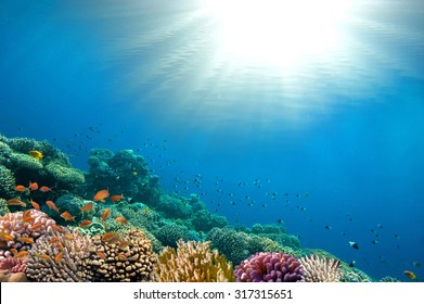 Ocean Underwater Background Image