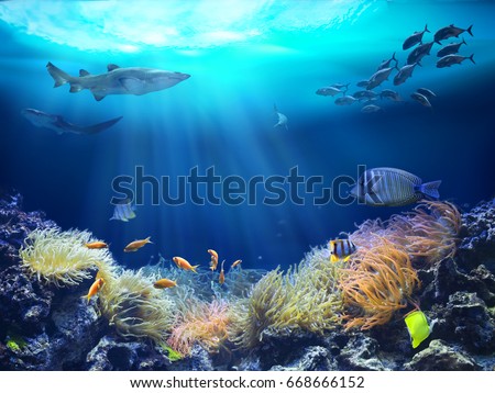 Ocean underwater with marine animals. 