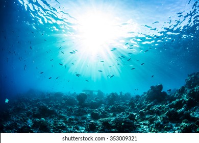 An ocean underwater reef with sun light through water surface. Coral bottom with fish silhouettes as marine aquatic background. Natural background.