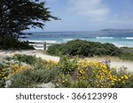 ocean view