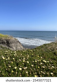 Ocean view from a cliff in CA