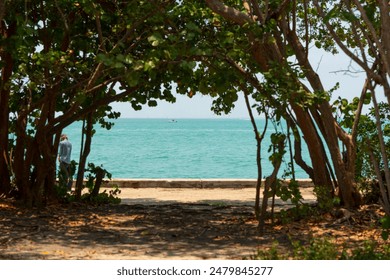 An ocean view frames by bent trees