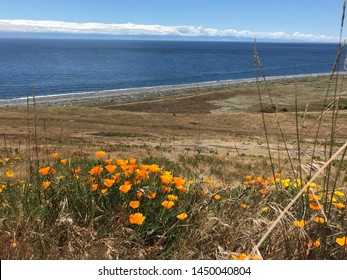 Ocean View From Friday Harbor