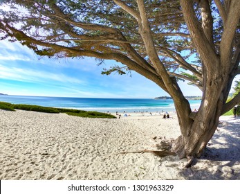 The Ocean View In Monterey And Carmel, CA