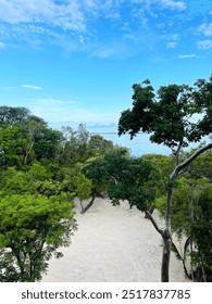 Ocean View Through Beach with Trees 