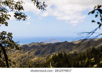 Ocean view through the trees along the Kuliouou Ridge Trail, Oahu