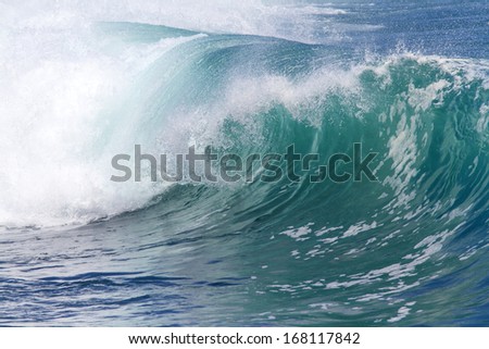 OCEAN WAVE
