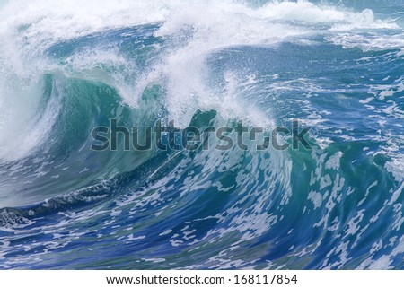 OCEAN WAVE