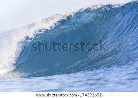 OCEAN WAVE