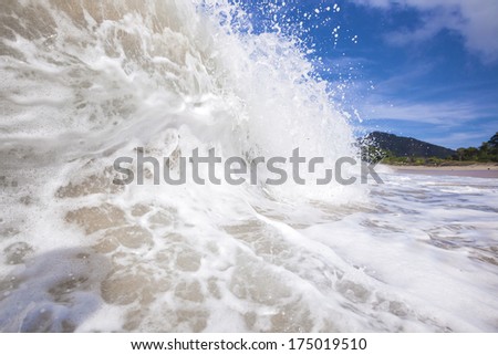 OCEAN WAVE