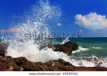 Ocean wave breaking on the sea shore