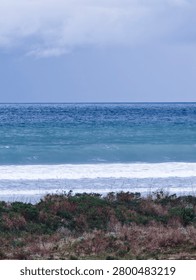 Ocean waves breaking on a sandy beach backed by natural coastal scrub