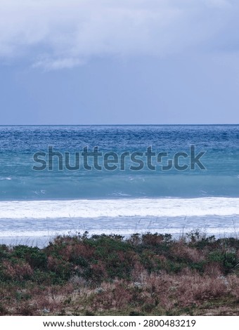 Ocean waves breaking on a sandy beach backed by natural coastal scrub
