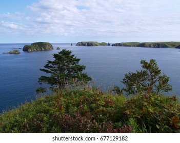 Oceanic Coast Of Shikotan Island