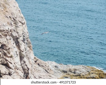 Oceanic View