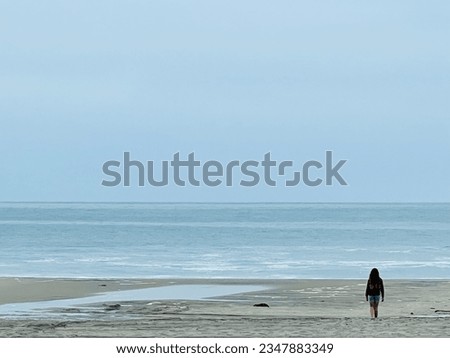 Oceanside California Delmar Beach Coast