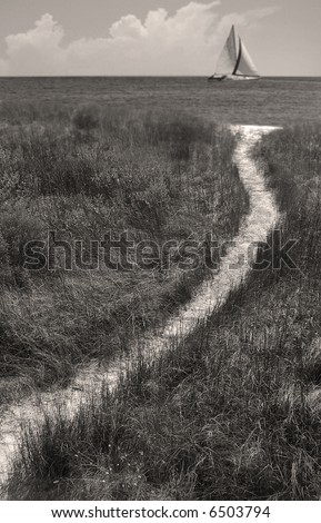 Similar – Holzweg Umwelt Natur