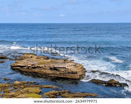 Oceanview from a San Diego, CA, beachfront on a sunny spring day with a sea lion resting on a rock. 
