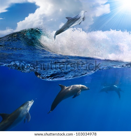 Oceanview with sunlight. A flock of playful dolphins swimming underwater and one of them leaping out from big sea surfing wave